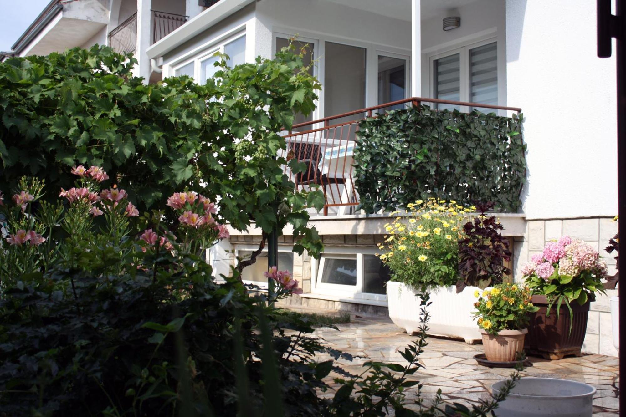 Apartment Vera