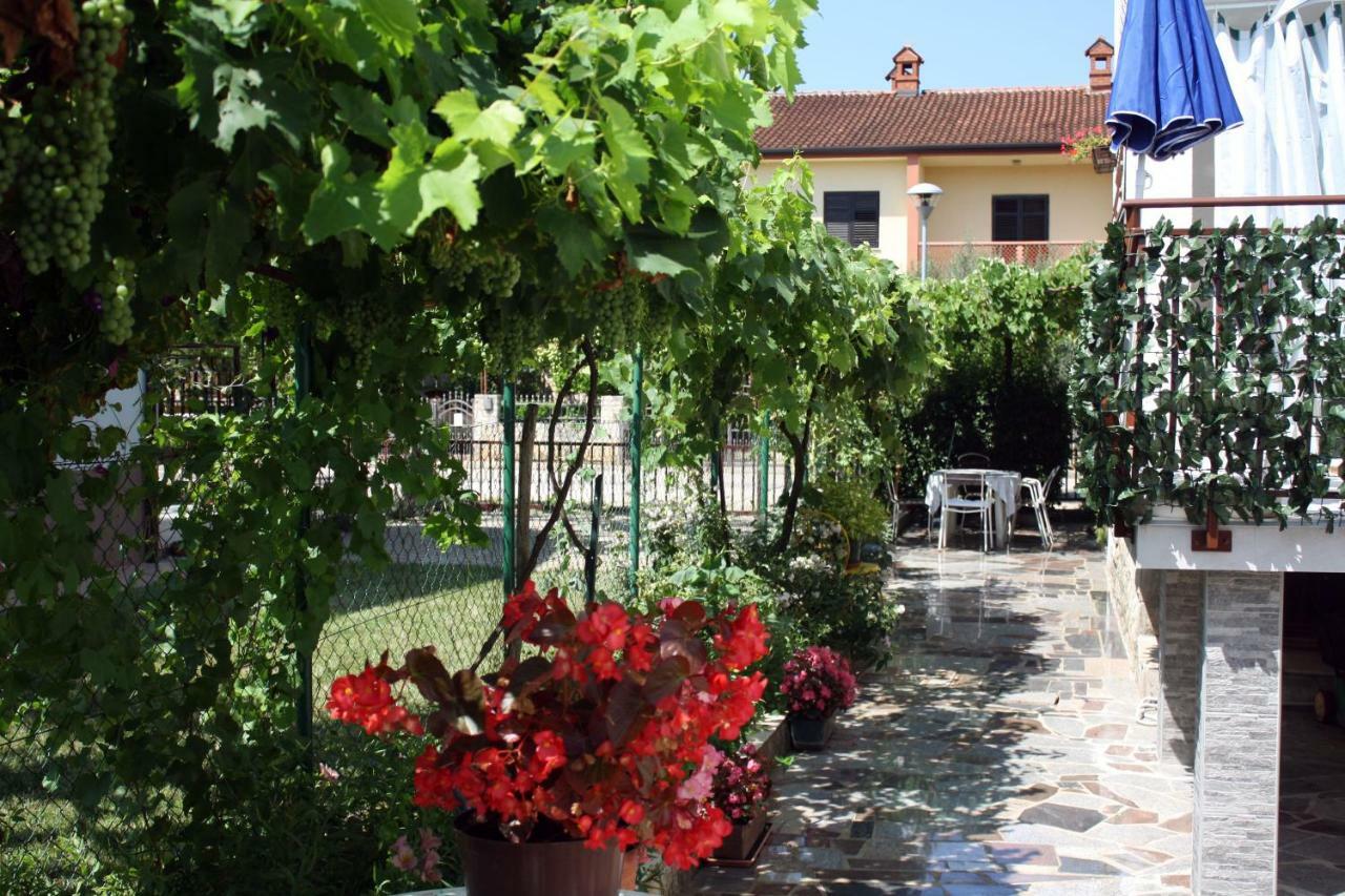 Apartment Vera Umag